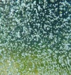 image of texture