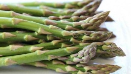 image of asparagus #7