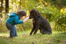 image of people_play_with_dog