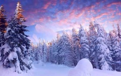 image of snowy