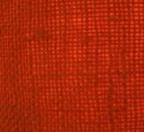 image of texture