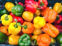 image of fruit_and_vegetable