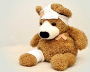 image of teddy_bear