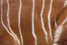 image of texture
