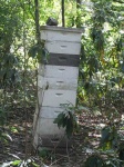 image of apiary