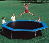 image of octagon