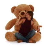 image of teddy_bear