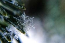 image of snowflake