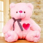 image of teddy_bear