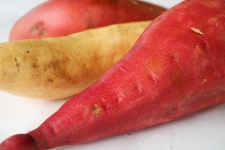 image of sweetpotato #9