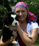 image of bernese_mountain_dog