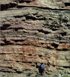 image of texture