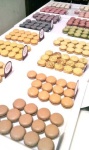 image of food