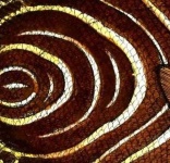 image of texture
