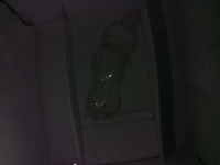 image of bottle_50cl