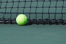 image of tennis_ball