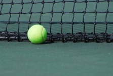 image of tennis_ball #24