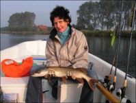 image of barracouta