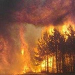image of wildfire