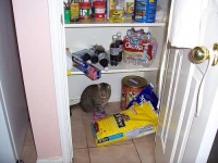 image of pantry #7