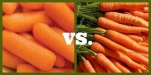 image of carrot #6