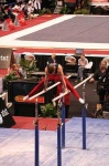 image of parallel_bars