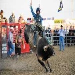 image of bull_riding #22