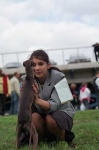 image of italian_greyhound