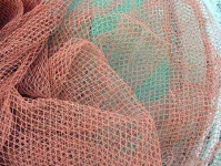 image of texture