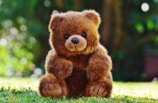 image of teddy_bear