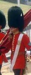 image of bearskin
