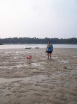 image of sandbar