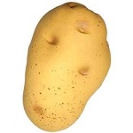 image of potato #12