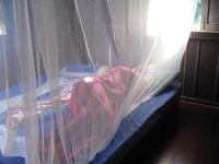 image of mosquito_net
