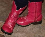 image of cowboy_boot #30