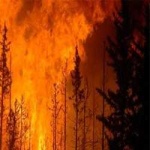 image of wildfire