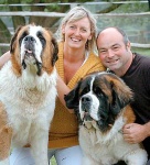 image of saint_bernard