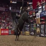 image of bull_riding #12