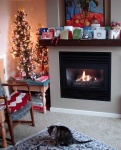 image of fire
