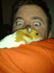 image of hamster