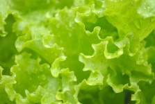 image of texture