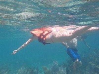image of snorkel