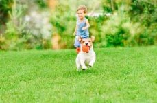 image of people_play_with_dog #34