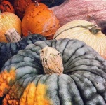 image of texture