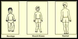 image of human_body_parts