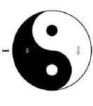 image of yin_yang #42