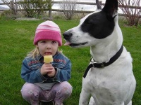 image of ice_lolly