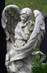 image of angel