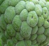 image of texture