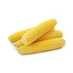 image of sweetcorn #8